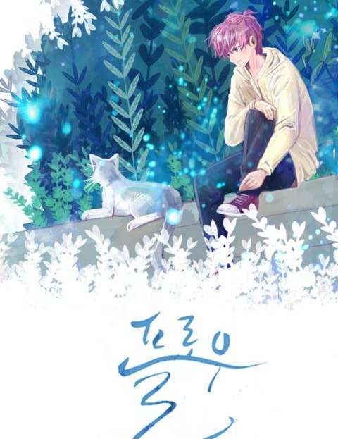 플로우